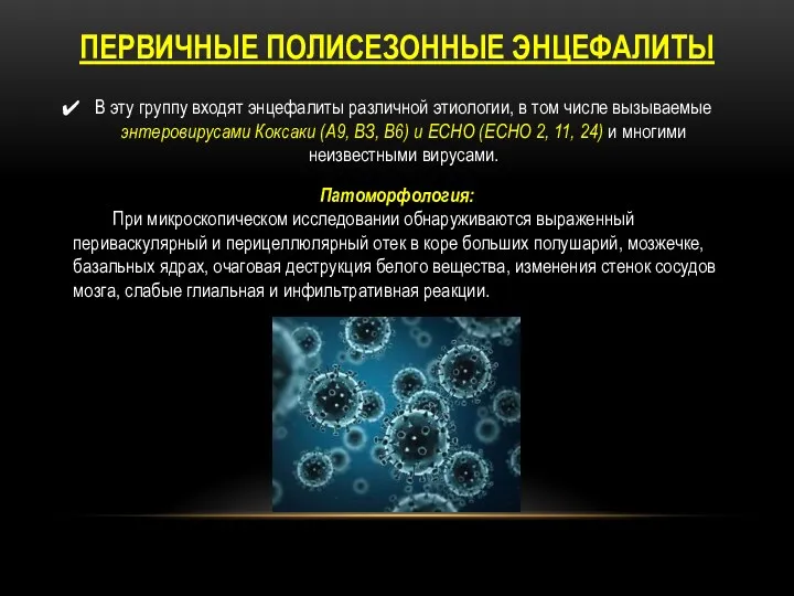 ПЕРВИЧНЫЕ ПОЛИСЕЗОННЫЕ ЭНЦЕФАЛИТЫ В эту группу входят энцефалиты различной этиологии,