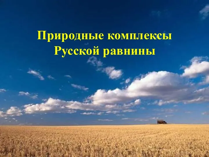 Природные комплексы Русской равнины