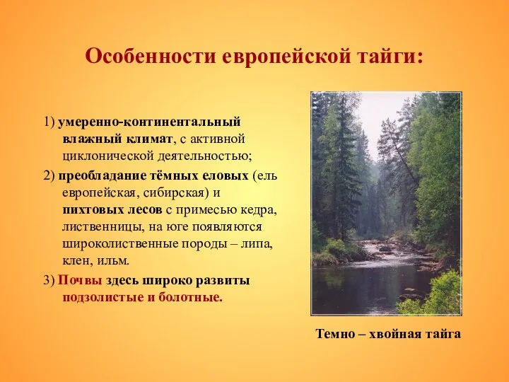 Особенности европейской тайги: 1) умеренно-континентальный влажный климат, с активной циклонической