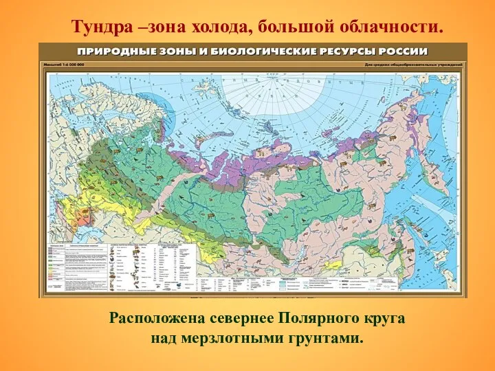 Тундра –зона холода, большой облачности. Расположена севернее Полярного круга над мерзлотными грунтами.