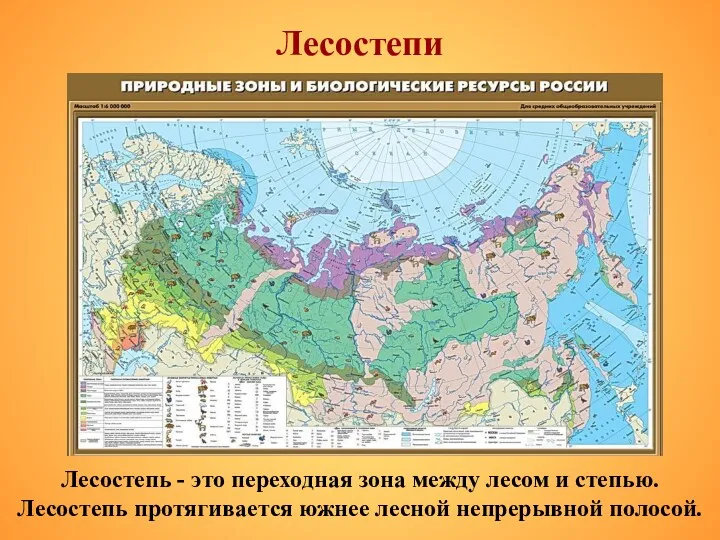 Лесостепи Лесостепь - это переходная зона между лесом и степью. Лесостепь протягивается южнее лесной непрерывной полосой.