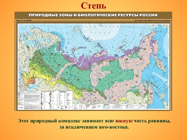 Степь Этот природный комплекс занимает всю южную часть равнины, за исключением юго-востока.