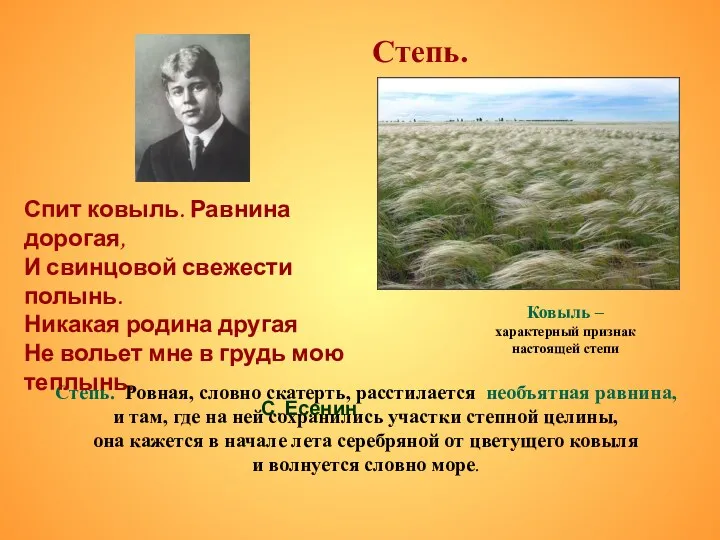 Степь. Степь. Ровная, словно скатерть, расстилается необъятная равнина, и там,