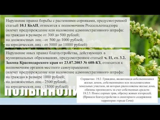 Нарушение правил борьбы с растениями-сорняками, предусмотренной статьей 10.1 КоАП, относится к полномочиям Россельхознадзора