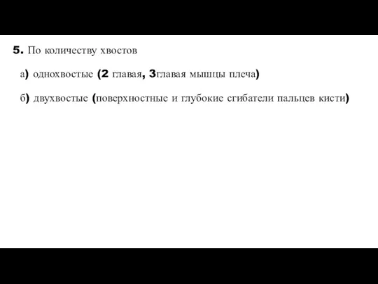 5. По количеству хвостов а) однохвостые (2 главая, 3главая мышцы