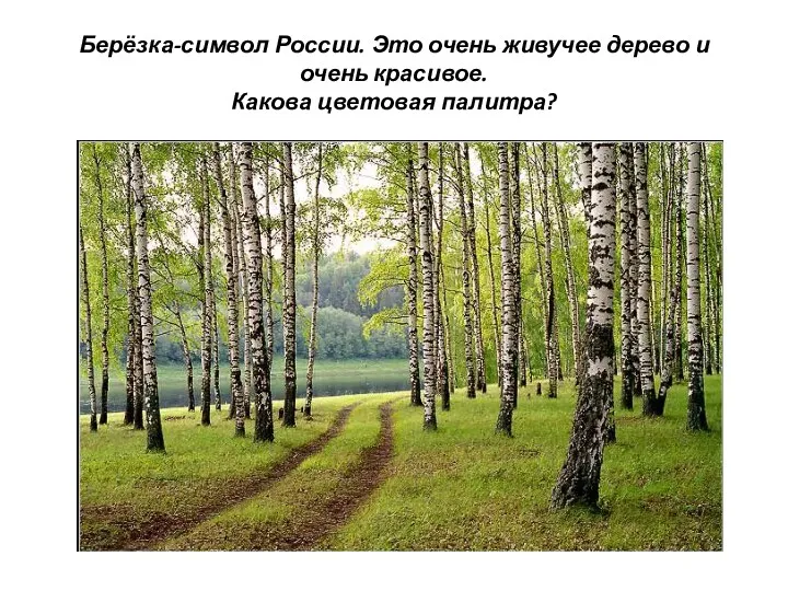 Берёзка-символ России. Это очень живучее дерево и очень красивое. Какова цветовая палитра?