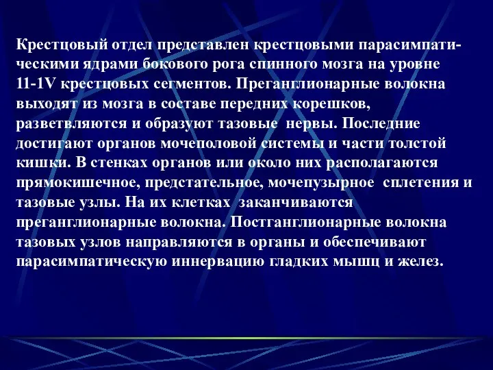 Крестцовый отдел представлен крестцовыми парасимпати-ческими ядрами бокового рога спинного мозга