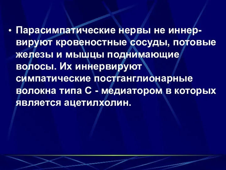 Парасимпатические нервы не иннер-вируют кровеностные сосуды, потовые железы и мышцы