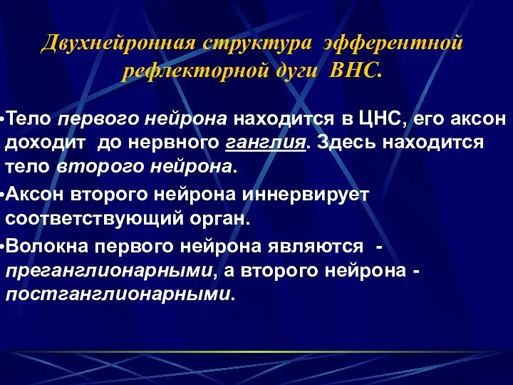 Двухнейронная структура эфферентной рефлекторной дуги ВНС. Тело первого нейрона находится