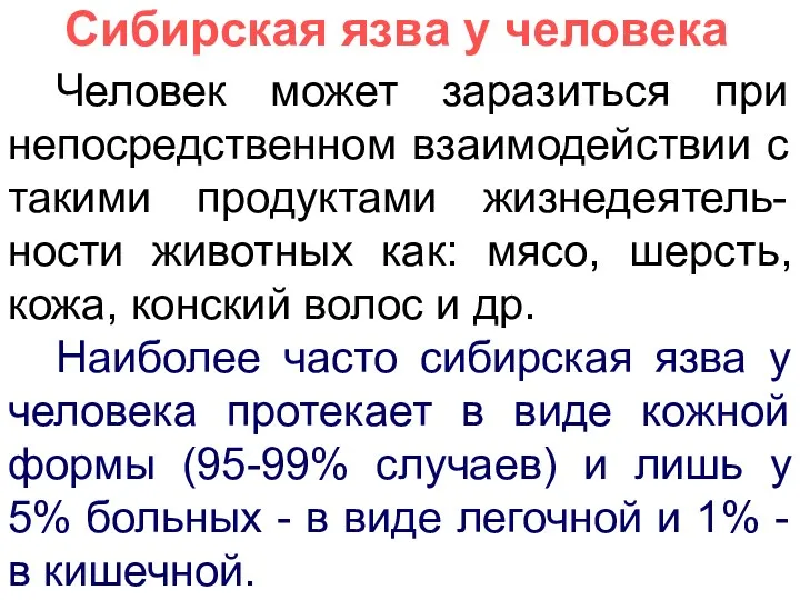 Сибирская язва у человека Человек может заразиться при непосредственном взаимодействии