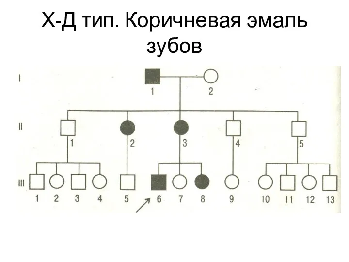 Х-Д тип. Коричневая эмаль зубов