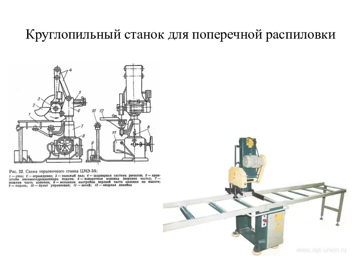 Круглопильный станок для поперечной распиловки