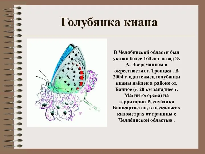 Голубянка киана В Челябинской области был указан более 160 лет