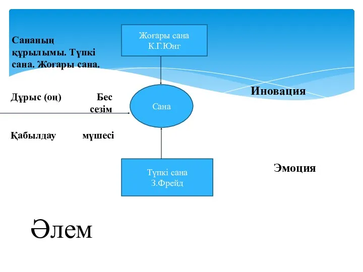 Жоғары сана К.Г.Юнг Сана Түпкі сана З.Фрейд Иновация Эмоция Әлем Дұрыс (оң) Бес