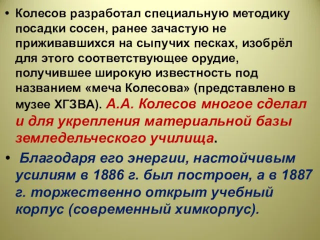 Колесов разработал специальную методику посадки сосен, ранее зачастую не приживавшихся