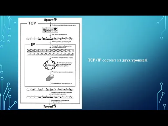 TCP/IP состоит из двух уровней.