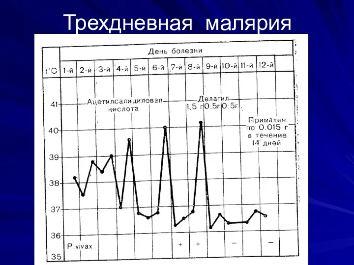 Трехдневная малярия