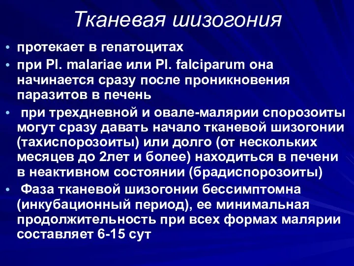 Тканевая шизогония протекает в гепатоцитах при Pl. malariae или Рl.