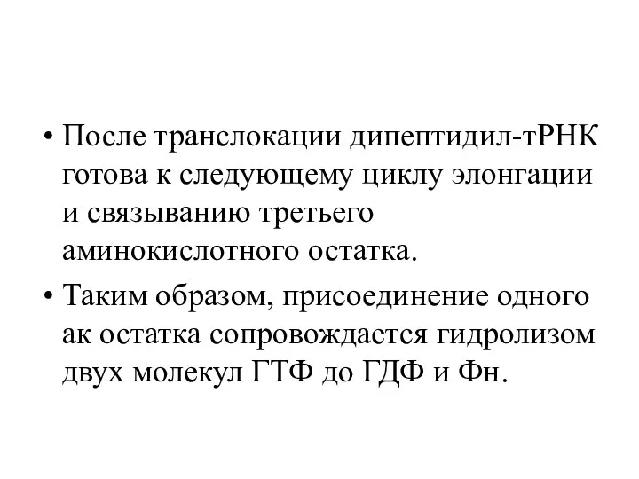 После транслокации дипептидил-тРНК готова к следующему циклу элонгации и связыванию