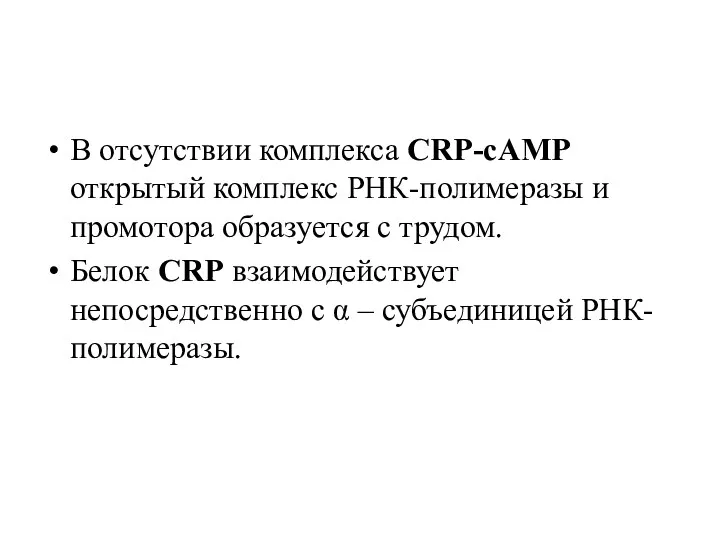 В отсутствии комплекса СRР-сАМР открытый комплекс РНК-полимеразы и промотора образуется