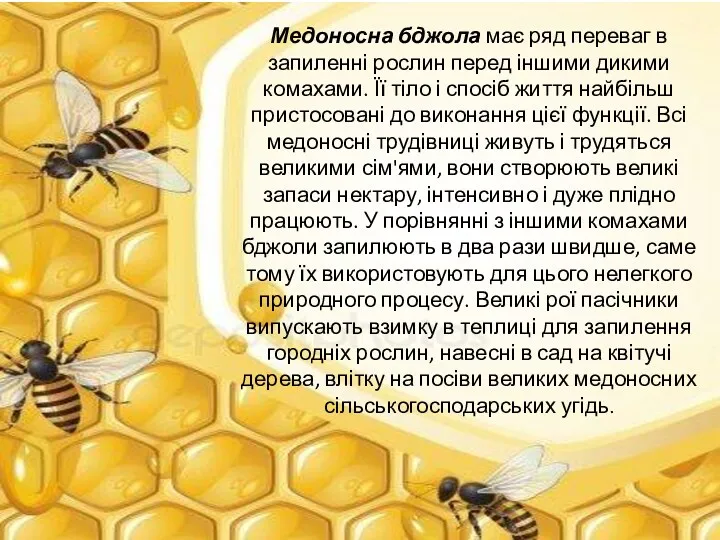 Медоносна бджола має ряд переваг в запиленні рослин перед іншими