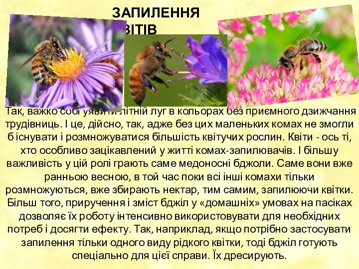 Так, важко собі уявити літній луг в кольорах без приємного