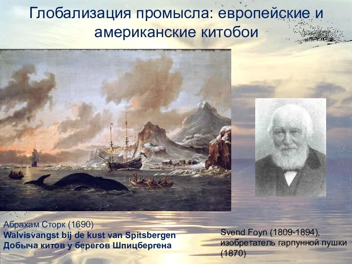 Глобализация промысла: европейские и американские китобои Абрахам Сторк (1690) Walvisvangst bij de kust