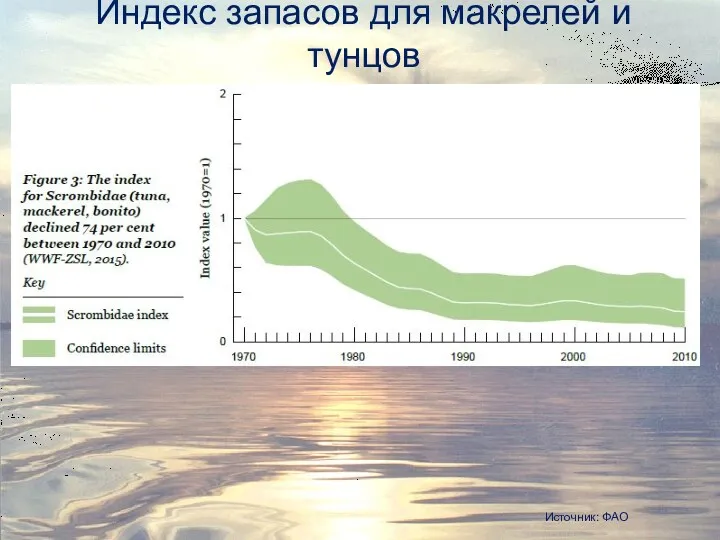 Индекс запасов для макрелей и тунцов Источник: ФАО