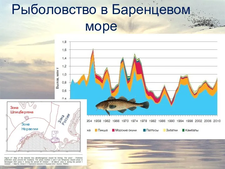 Рыболовство в Баренцевом море Зона Шпицбергена Зона Норвегии Зона России