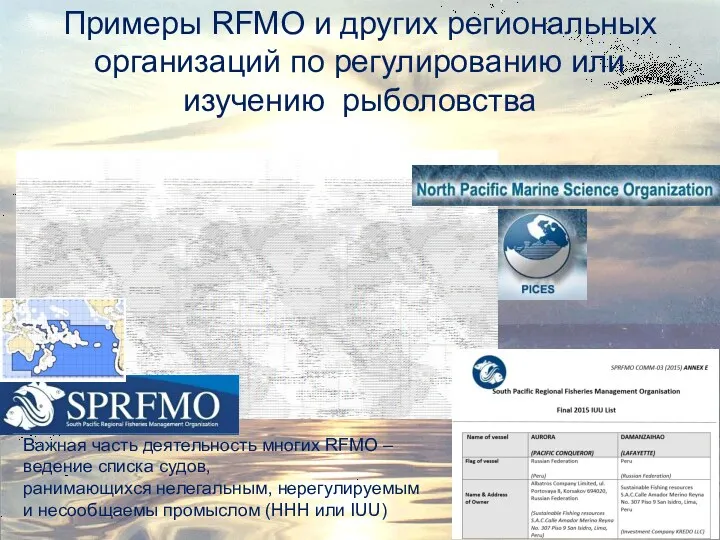 Примеры RFMO и других региональных организаций по регулированию или изучению рыболовства Важная часть