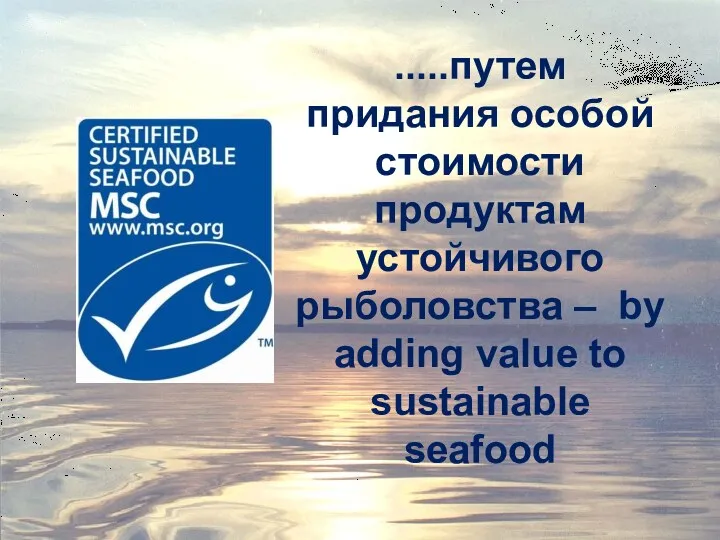 .....путем придания особой стоимости продуктам устойчивого рыболовства – by adding value to sustainable seafood