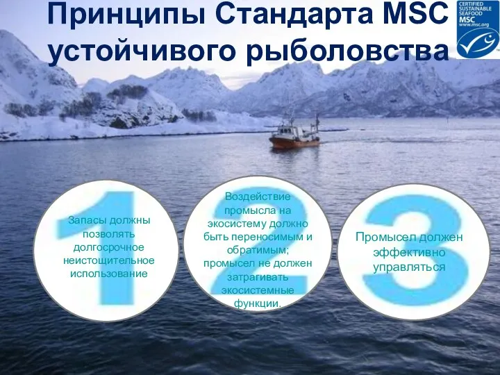The best environmental choice in seafood Принципы Стандарта MSC устойчивого рыболовства