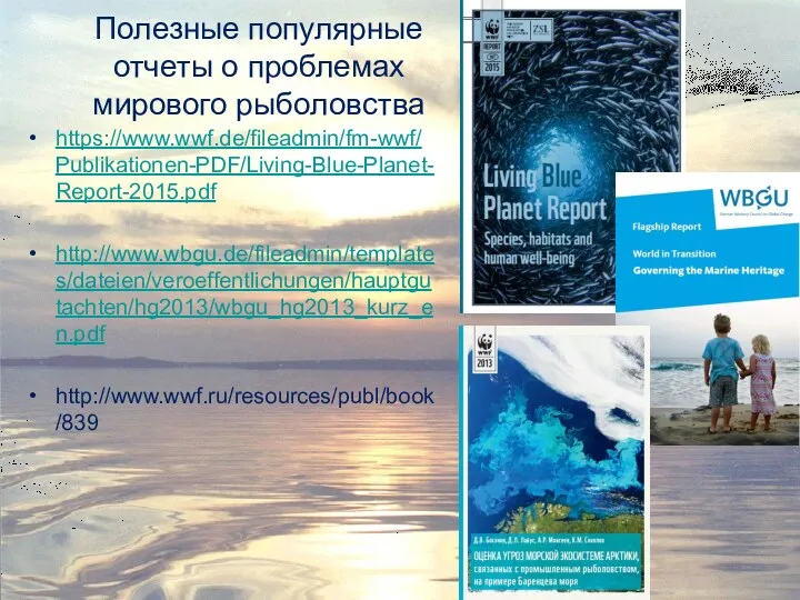 Полезные популярные отчеты о проблемах мирового рыболовства https://www.wwf.de/fileadmin/fm-wwf/Publikationen-PDF/Living-Blue-Planet-Report-2015.pdf http://www.wbgu.de/fileadmin/templates/dateien/veroeffentlichungen/hauptgutachten/hg2013/wbgu_hg2013_kurz_en.pdf http://www.wwf.ru/resources/publ/book/839