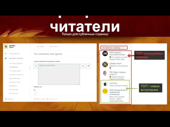 Парсер: ТОП читатели Только для публичных страниц!