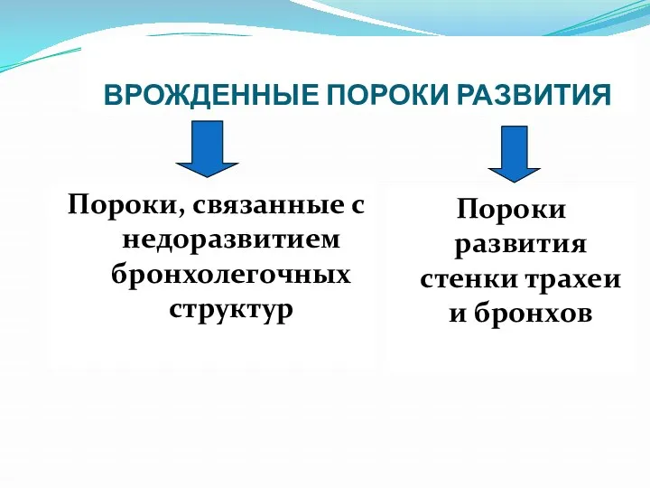 ВРОЖДЕННЫЕ ПОРОКИ РАЗВИТИЯ Пороки, связанные с недоразвитием бронхолегочных структур Пороки развития стенки трахеи и бронхов