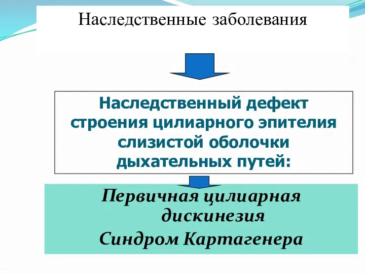 Первичная цилиарная дискинезия Синдром Картагенера Наследственные заболевания Наследственный дефект строения цилиарного эпителия слизистой оболочки дыхательных путей: