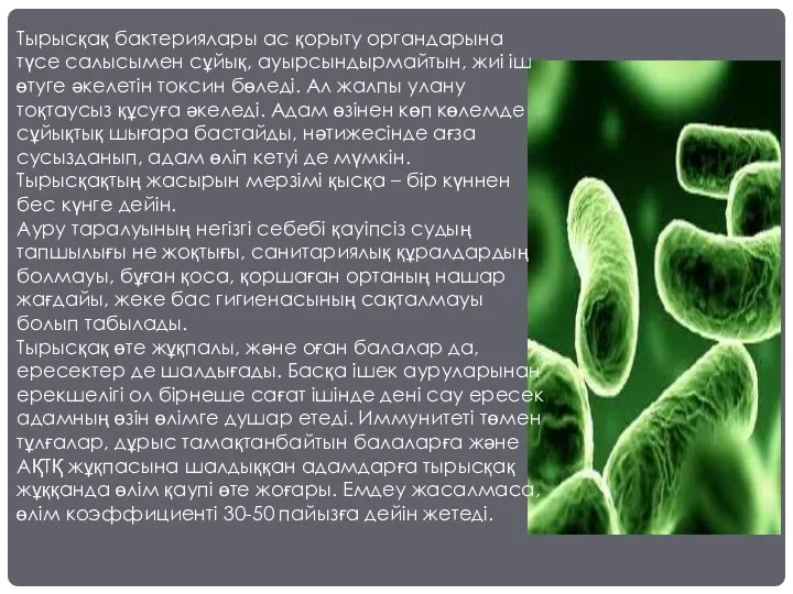 Тырысқақ бактериялары ас қорыту органдарына түсе салысымен сұйық, ауырсындырмайтын, жиі