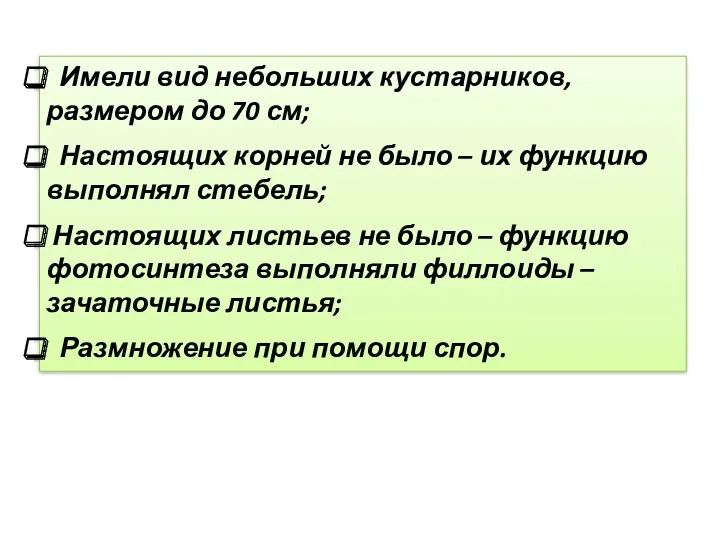 Имели вид небольших кустарников, размером до 70 см; Настоящих корней