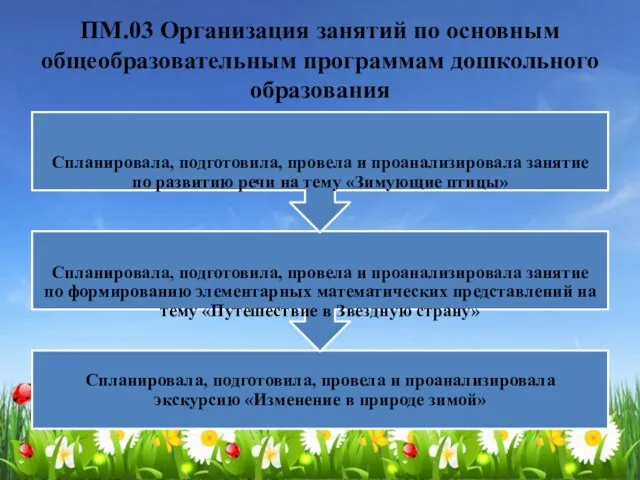 ПМ.03 Организация занятий по основным общеобразовательным программам дошкольного образования