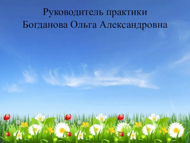 Руководитель практики Богданова Ольга Александровна