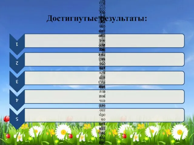 Достигнутые результаты: