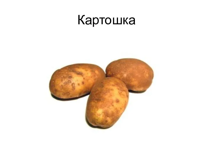 Картошка