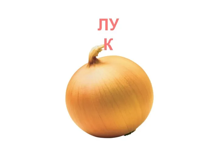 ЛУК