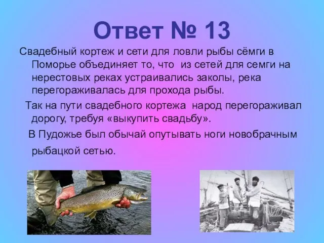 Ответ № 13 Свадебный кортеж и сети для ловли рыбы сёмги в Поморье