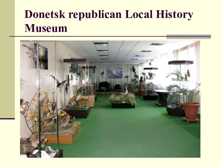 Donetsk republican Local History Museum
