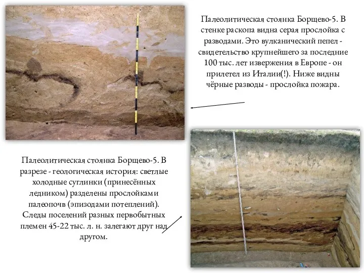Палеолитическая стоянка Борщево-5. В стенке раскопа видна серая прослойка с