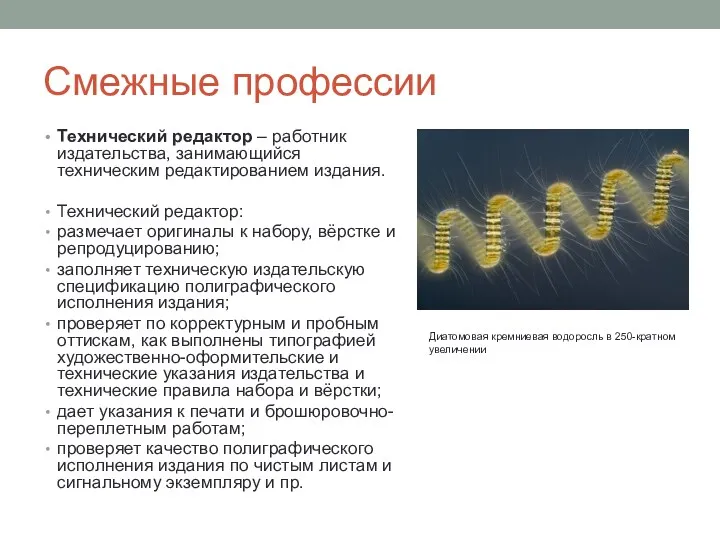 Смежные профессии Технический редактор – работник издательства, занимающийся техническим редактированием