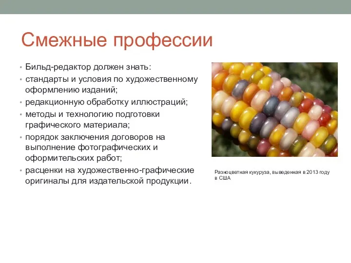 Смежные профессии Бильд-редактор должен знать: стандарты и условия по художественному