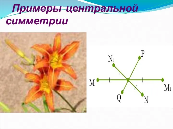 Примеры центральной симметрии