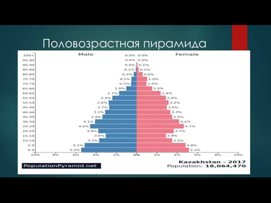 Половозрастная пирамида